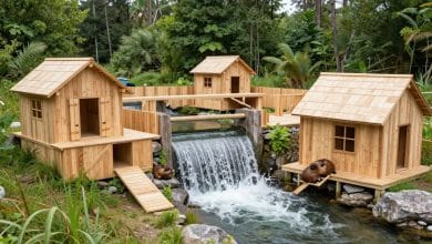 Colônia de castores engenheiros construindo uma cidade sustentável com represas, canais e estruturas de madeira em Timberborn